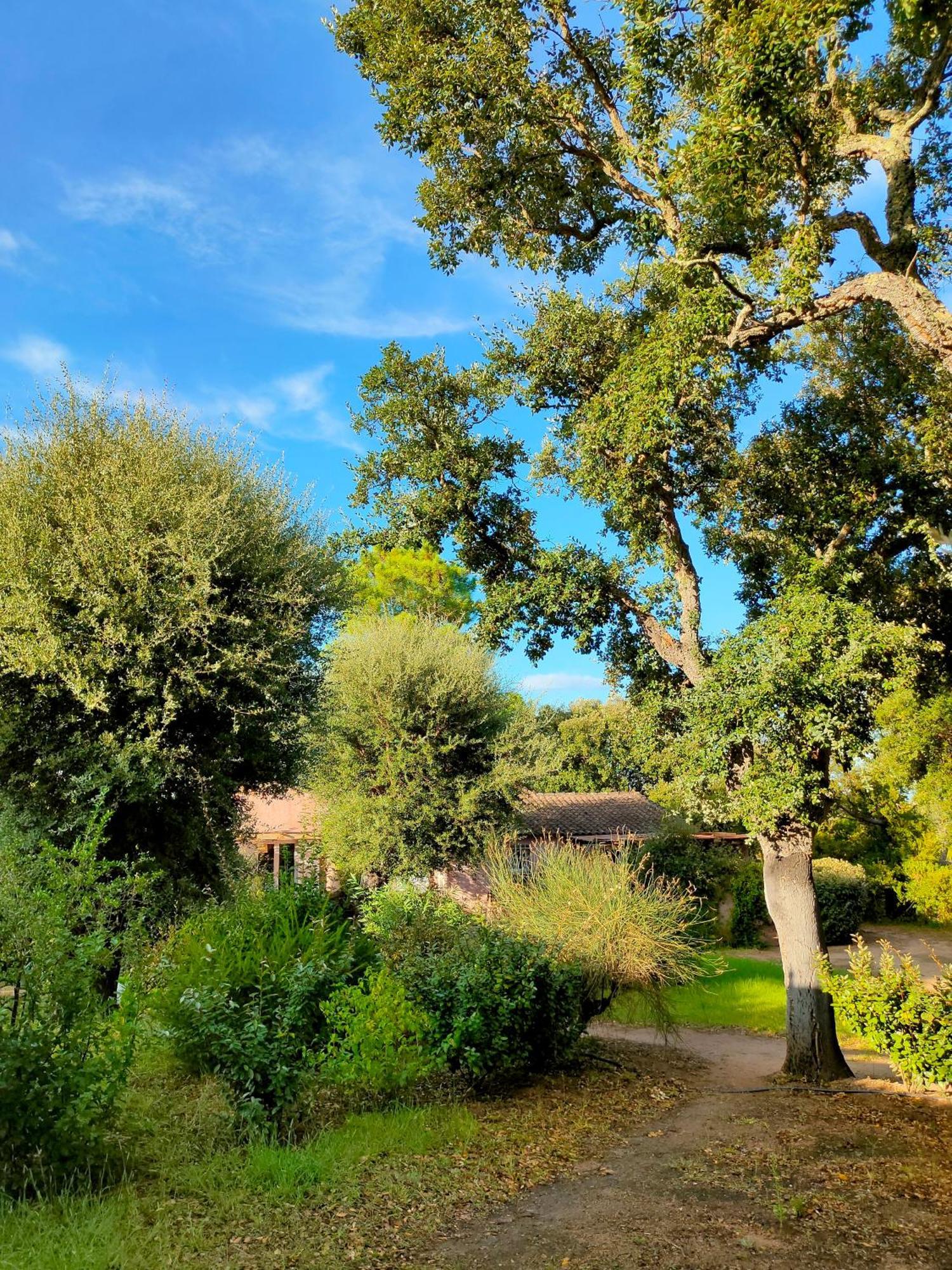 Residence Les Cigales Porto-Vecchio  Eksteriør bilde